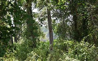 2nd image of 96108 Marsh Lakes Dr