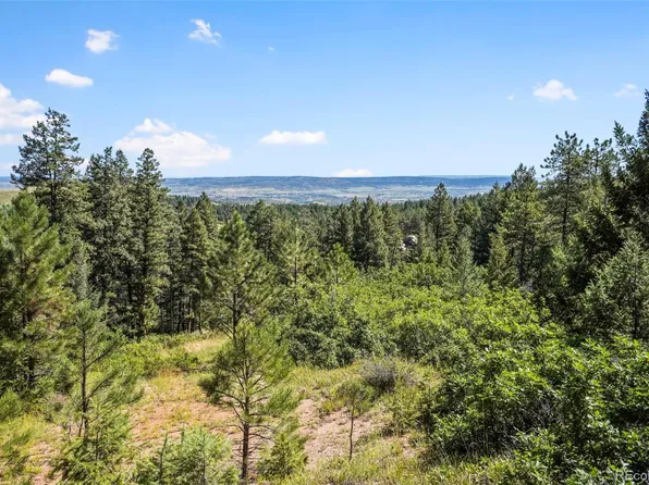 Madge Gulch Road, Sedalia, CO 80135