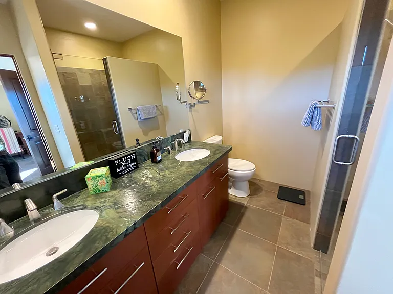 Master Suite 2 On-Suite Bathroom Vanity with Shower Door on the Right