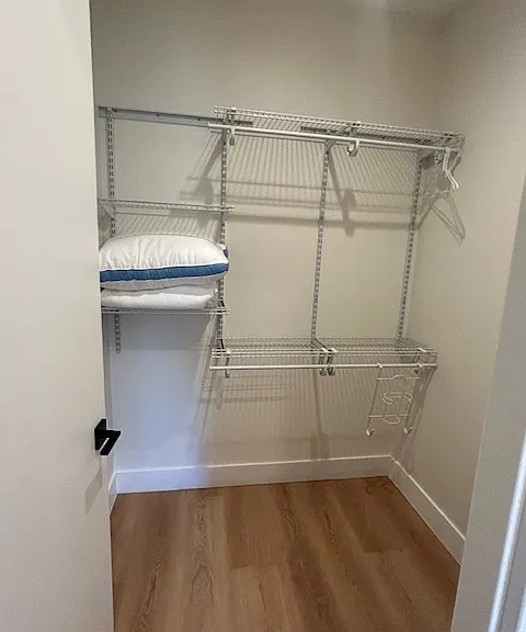 Primary Walk-In Closet