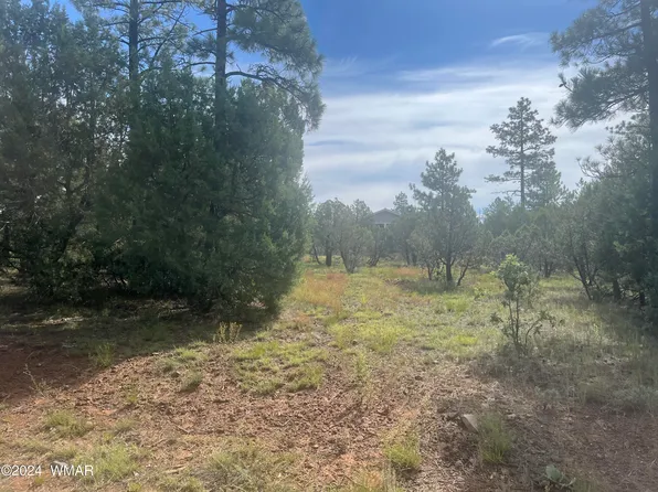 5481 Red Squirrel Ln, Lakeside, AZ 85929