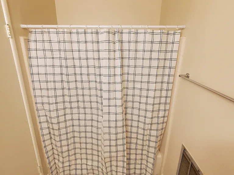 Bathtub with shower curtain