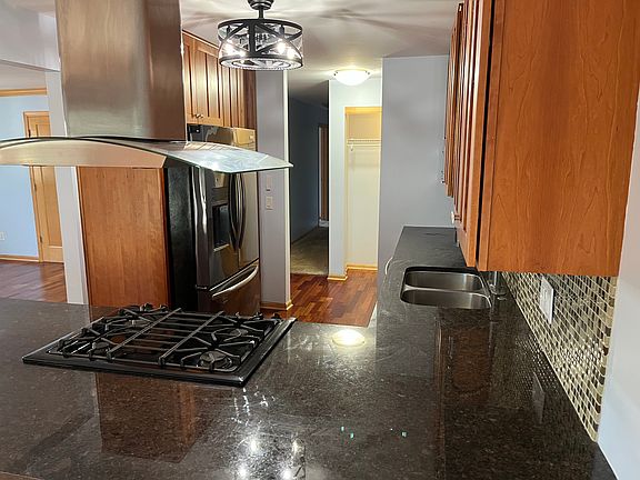 Kitchen view - gas stove with designer hood, all stainless appliances
