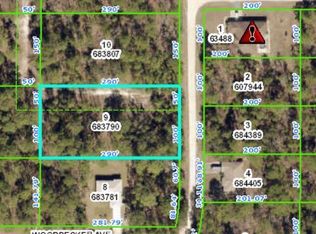 17473 Macek Rd, Weeki Wachee, FL 34614