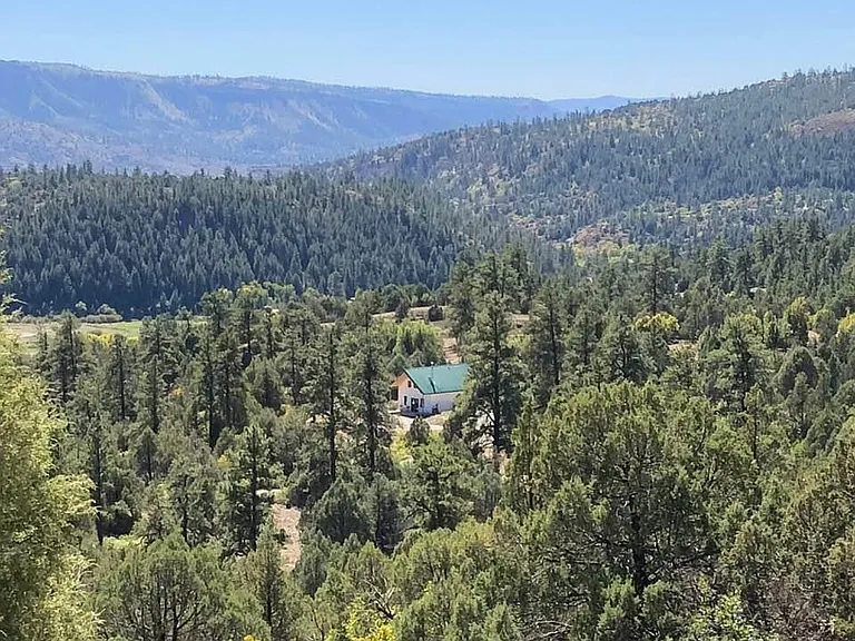 Zoomed-out view of the house