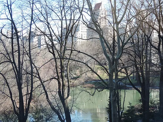 Rented by essential NEW YORK Real Estate | media 30