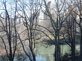 Rented by essential NEW YORK Real Estate