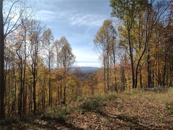 TBD N US Hwy 421, Zionville, NC 28698