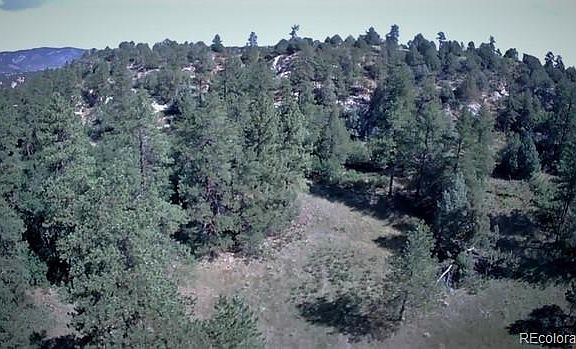5th image of 4781 Mohawk Dr