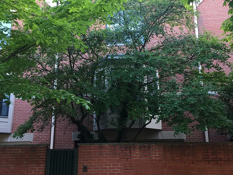 620 S Laflin St — Photo 13