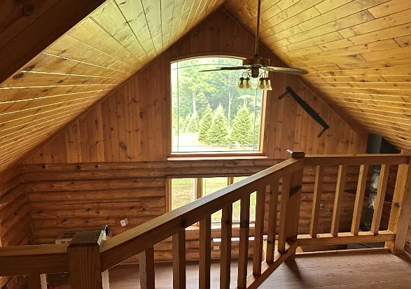 1 bed, $900 — Photo 2