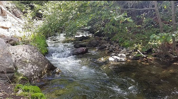 Creek near parcel
