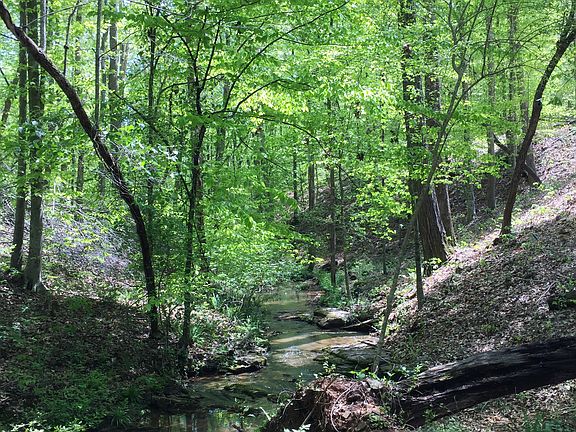 Oak Creek