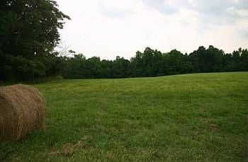 5th image of 90 Hickory Downs Dr
