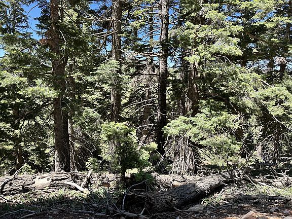 5th image of W North Fork Rd