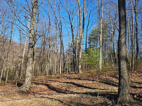 3rd image of 0 Piney Creek Rd