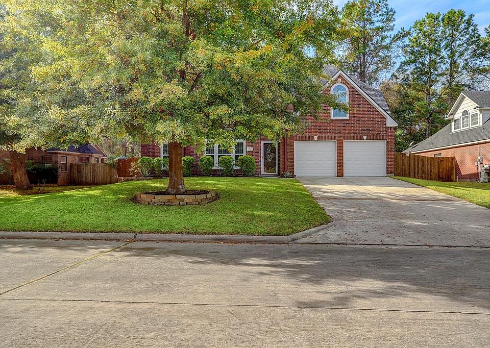 Beautiful Large Tree in Front Yard