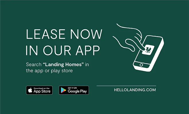 Rented by Landing | media 28