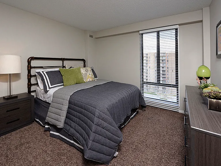 PLATINUM upgrade spacious bedroom with plush carpeting