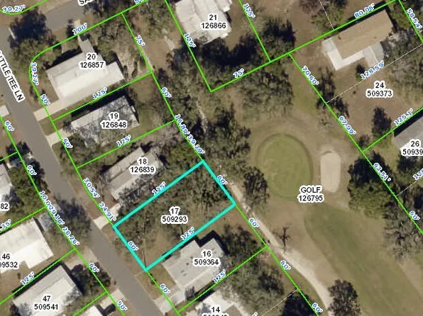 8028 Little Tee Ln, Brooksville, FL 34613