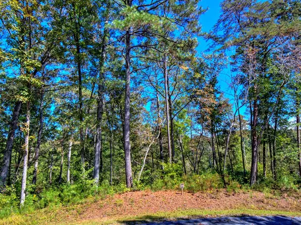LOT 34 Hilton Dr, Ellijay, GA 30540