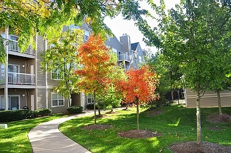 Stonehaven Apartments — Photo 4