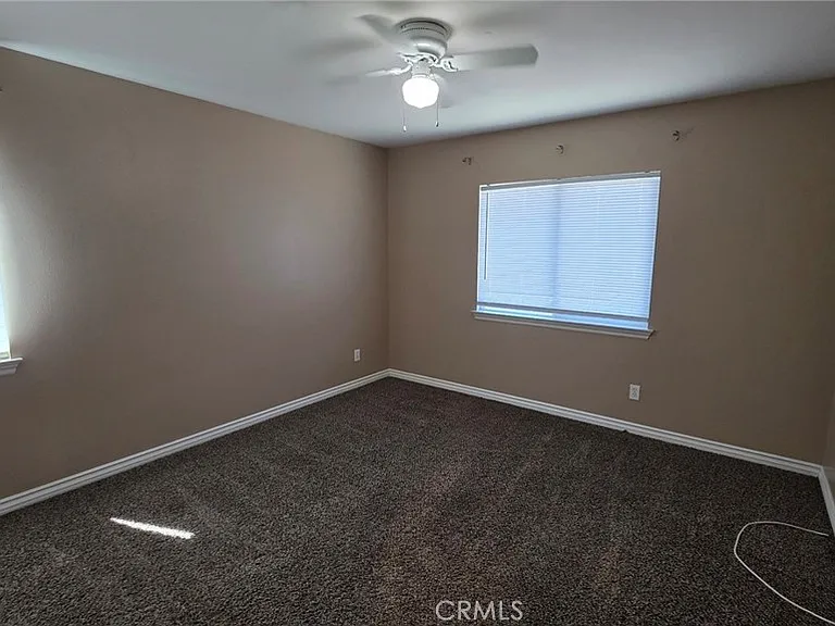 12432 Celebration Dr — Photo 17