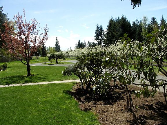 2nd image of 4655 Woodworth Dr