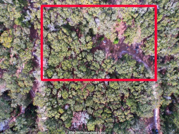 856 SW Horseshoe Loop, Fort White, FL 32038