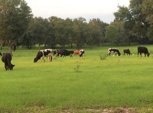 3847 91st Loop, Live Oak, FL 32060