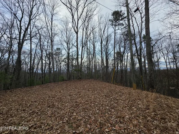LOT 4 Deer Ridge Ln, Sevierville, TN 37876