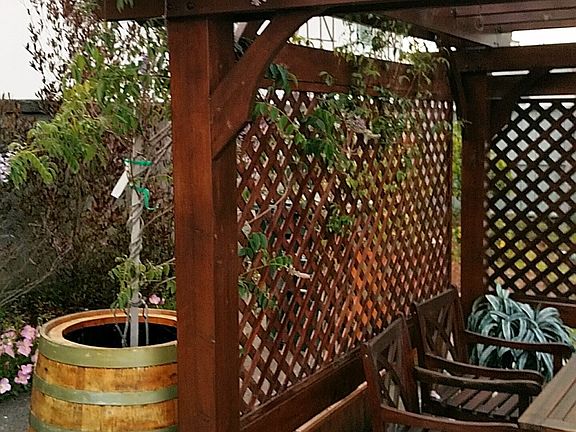 3rd image of 203 Cuesta Dr