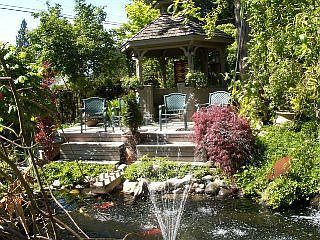 Gazebo Pond (one of several ponds!)
