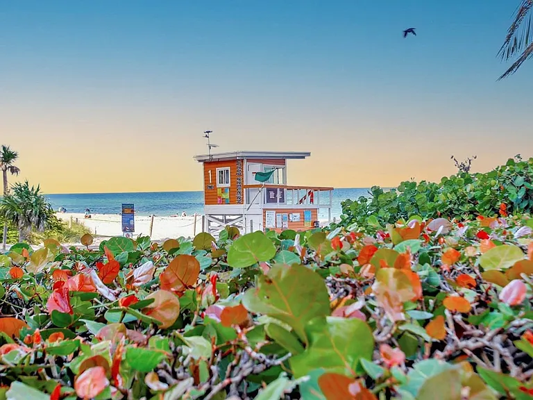 Neighborhood