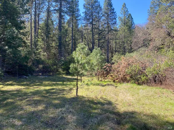 450 Mulligan Lane, Laytonville, CA 95454