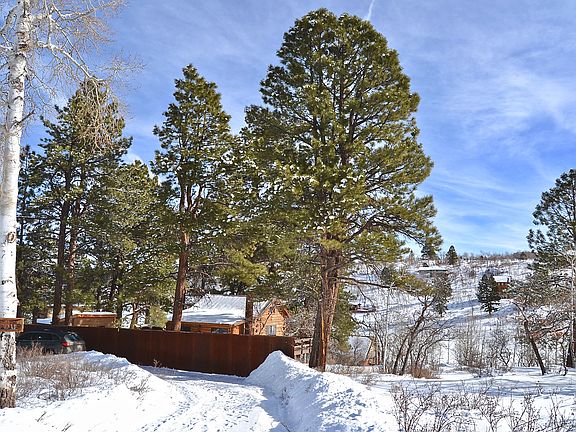 Driveway entry to cabin.