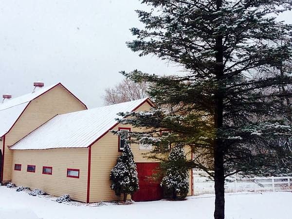 View of barn from living space