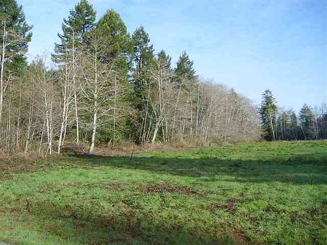 2nd image of 0 Wheeler Ln