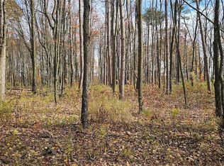 417 Stocks Rd, Owego, NY 13827