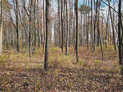 417 Stocks Rd, Owego, NY, 13827