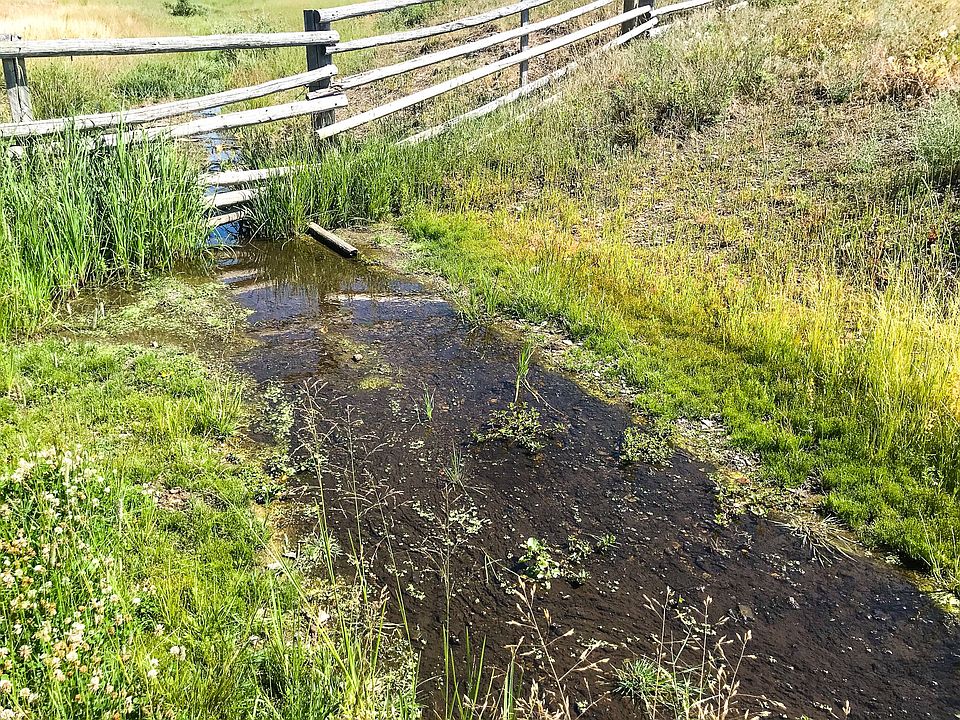 1st image of Upper Deep Crk
