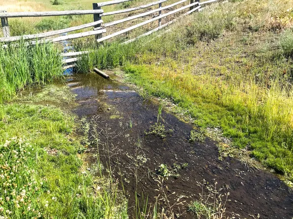Upper Deep Crk, Townsend, MT 59644