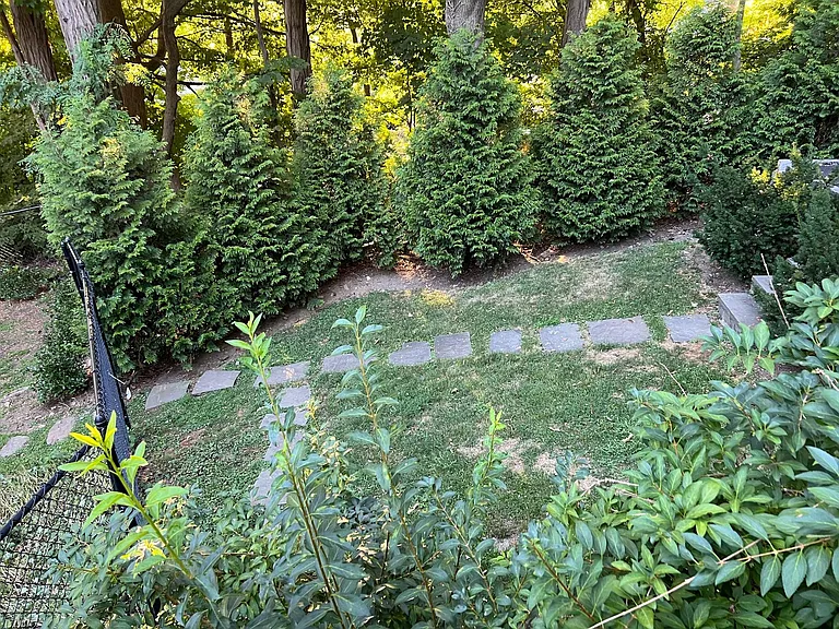 Back walkway