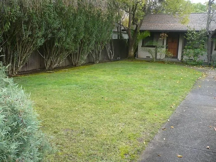 401 W Napa St #2 — Photo 10