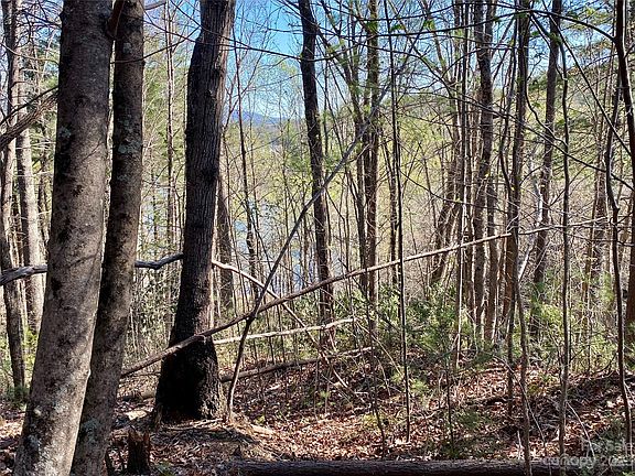 2nd image of 96 Winghaven Dr Lot 42