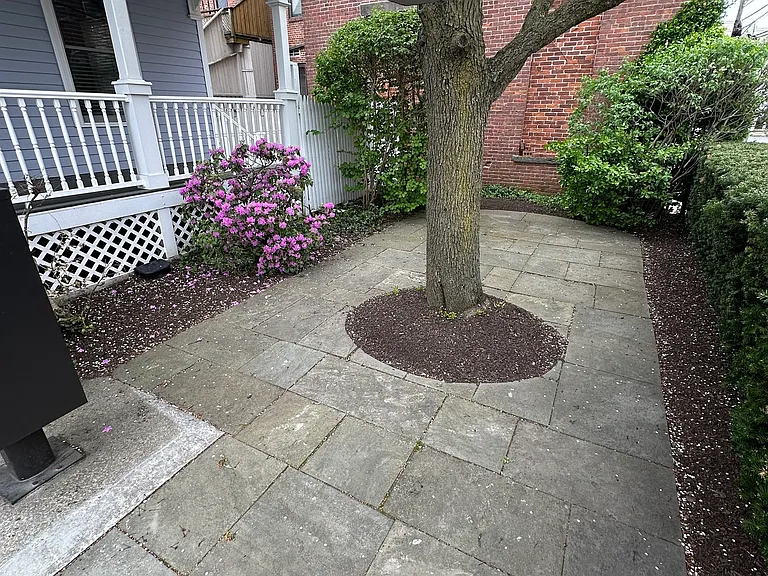 8 Haviland St #A — Photo 17
