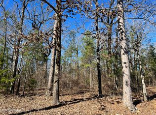 0 W Petros Rd, Pearl, MS 39208