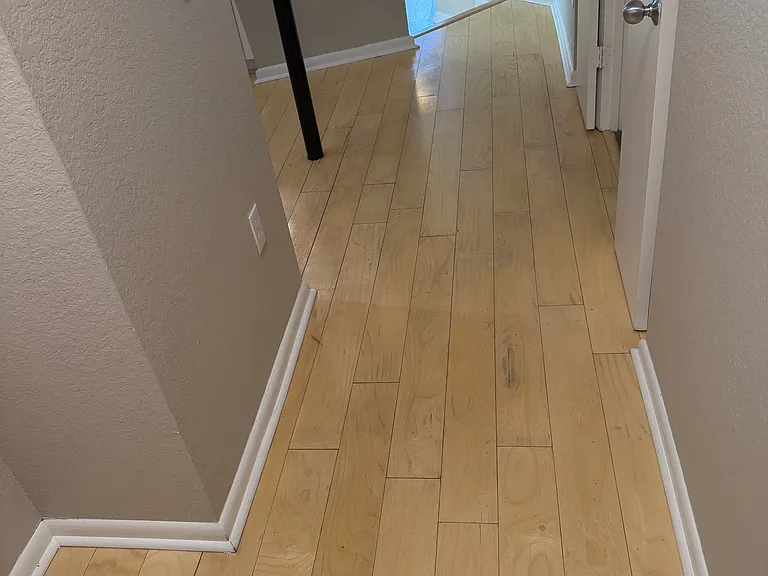 2421 W Horatio St #830 — Photo 16