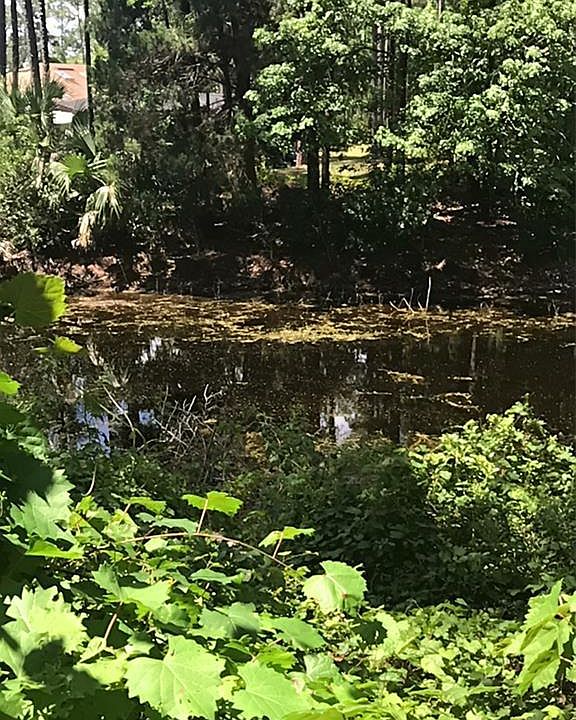 1st image of 6 Riverview Dr