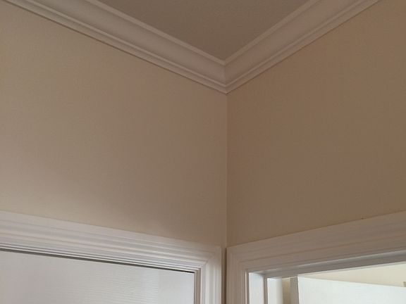5th image of 716 Olive Ave